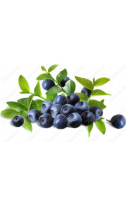 TPA - Huckleberry 10мл