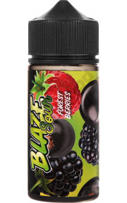 BLAZE SOUR - Forest Berries 100мл