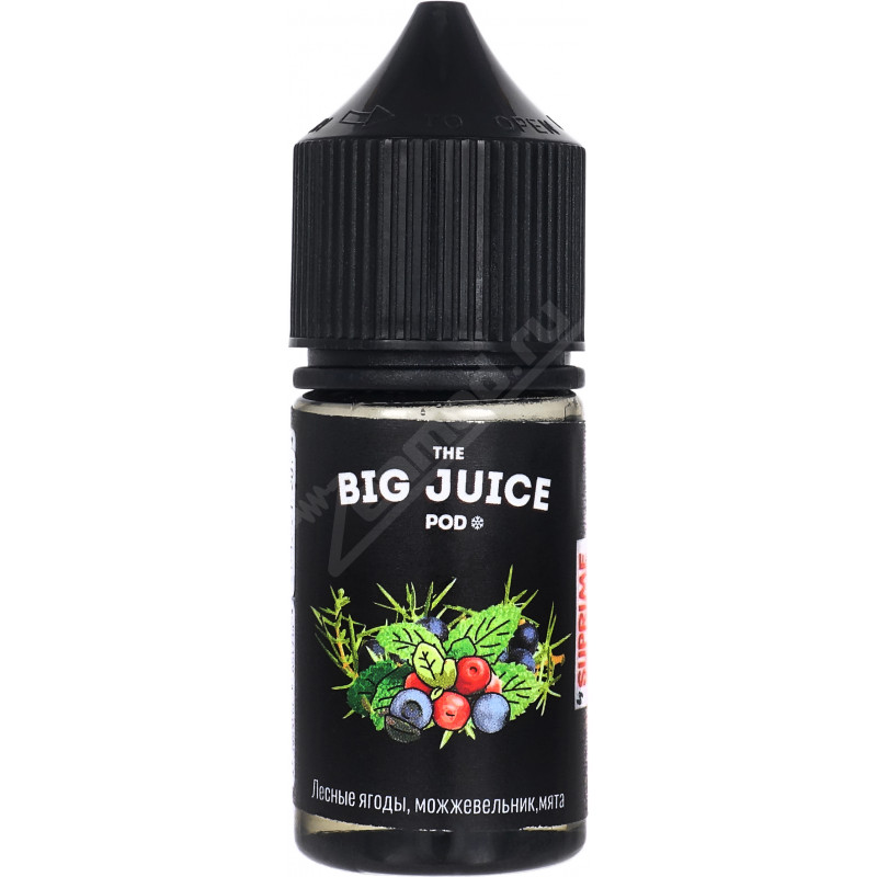 Фото и внешний вид — BIG JUICE POD SALT - Лесные ягоды, можжевельник и мята 30мл