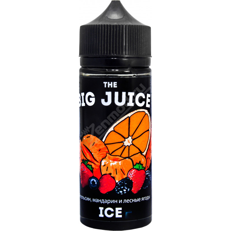 Фото и внешний вид — BIG JUICE - Апельсин-мандарин и лесные ягоды 120мл