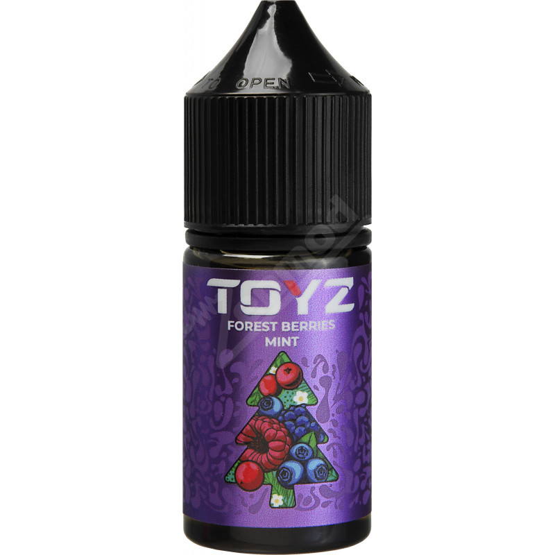 Фото и внешний вид — TOYZ SALT - Forest Berries Mint 30мл