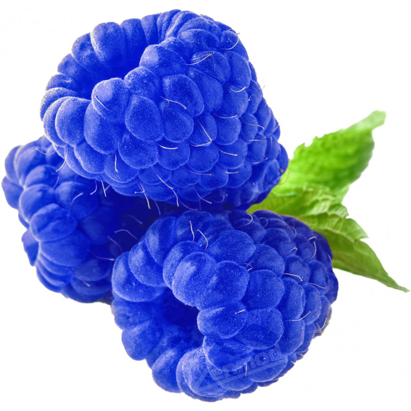 Фото и внешний вид — TPA - Blue Raspberry 10мл