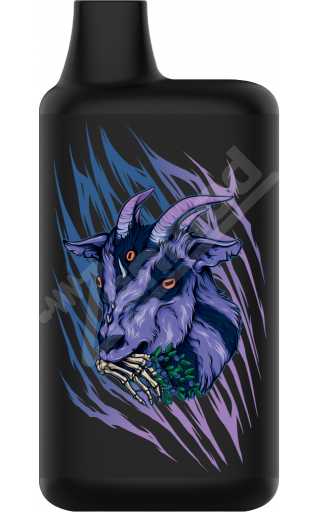 DOCTOR GRIMES 5000 - VOIDBERRY 2