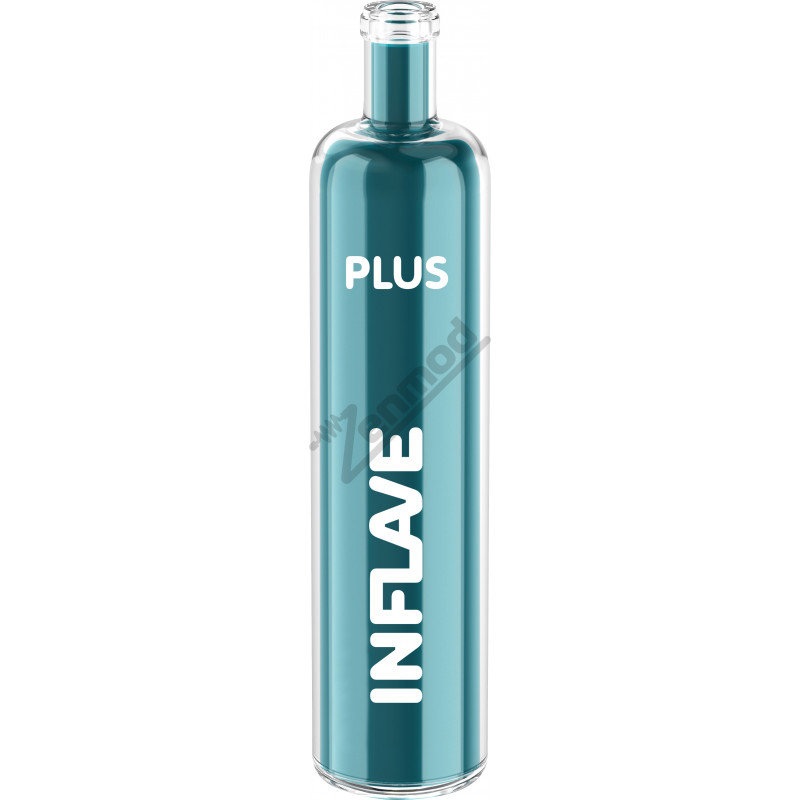 Фото и внешний вид — INFLAVE PLUS 2200 - Кактус